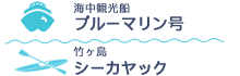 海中観光船ブルーマリン号 竹ヶ島シーカヤック